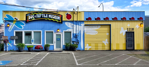 Front of Bremerton bug museum, bug and reptile museum