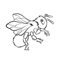 bee coloring page