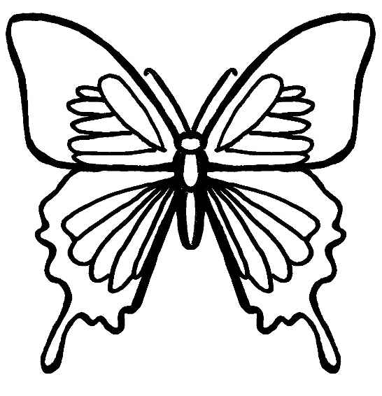 Coloring Pages Butterfly. Bug Coloring Pages: Butterfly