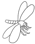 dragonfly coloring page