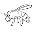 bee coloring page