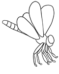 dragonfly coloring page