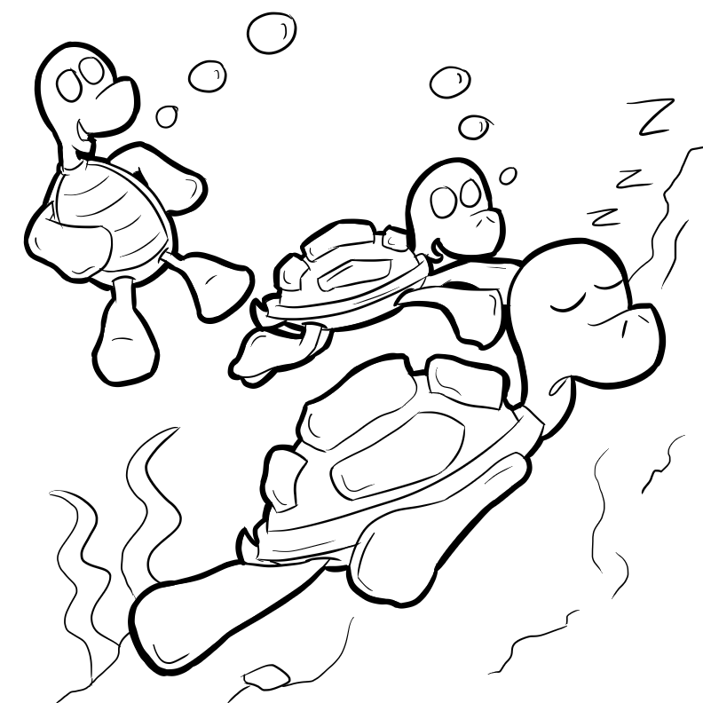 bug museum reptile coloring pages turtles 8