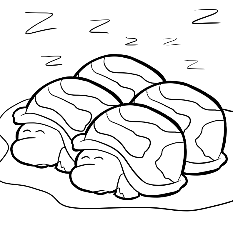 bug museum reptile coloring pages turtles 15
