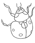 ladybug coloring page