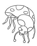 ladybug coloring page