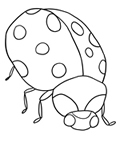 ladybug coloring page