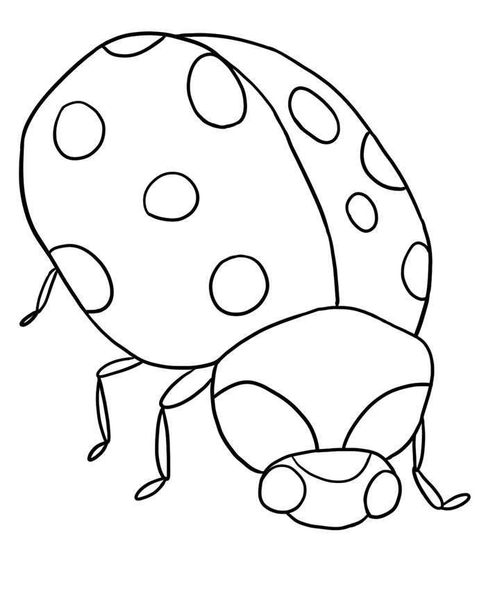 ladybug coloring sheet