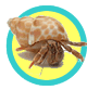 crab kits