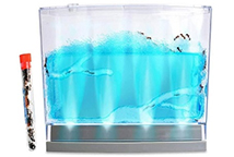 Lighted Gel Ant Habitat With Live Ants
