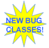 New classes