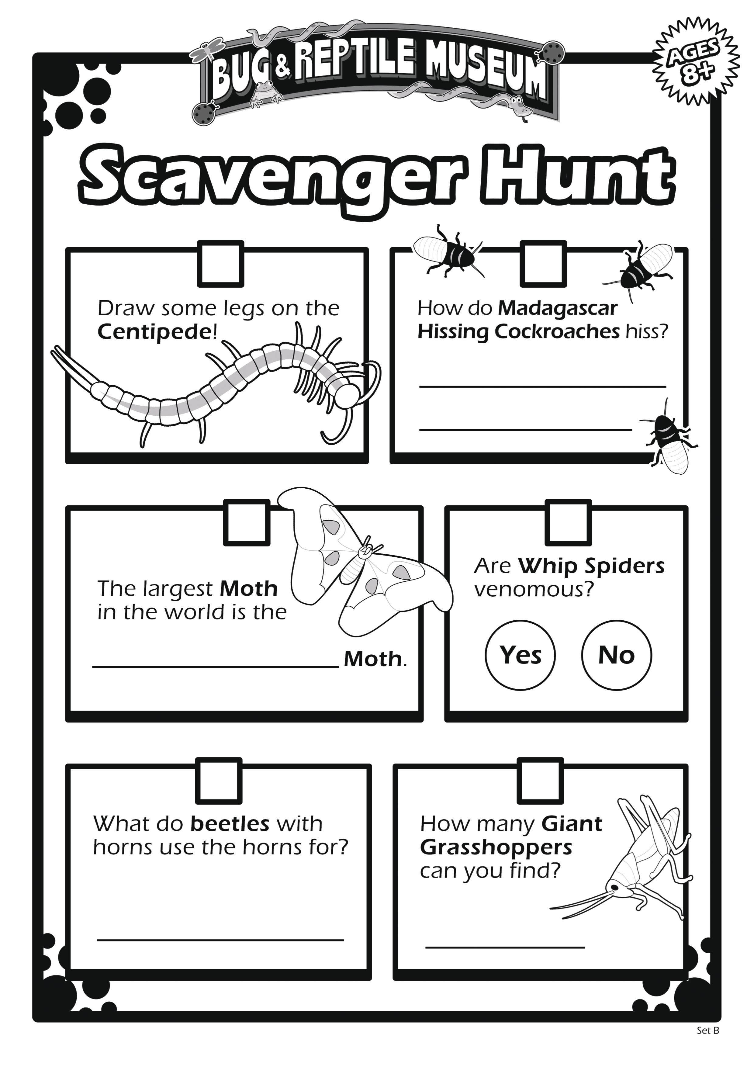 Complete Scavengers Hunts at the Museum for a Prize! Print FREE