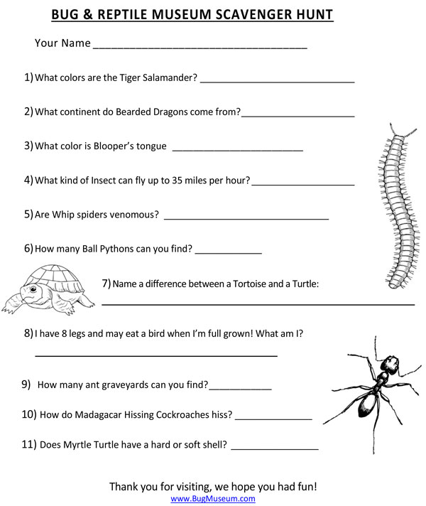 Bug Museum - During Your Visit