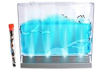 Lighted Gel Ant Habitat With Live Ants