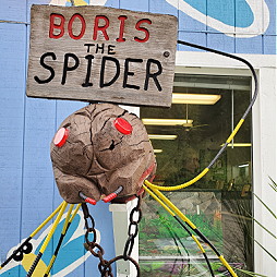 Take your photo with Boris the Spider!