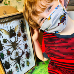 See all kinds of bugs up close!
