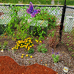 Learn more about our Pollinator Garden