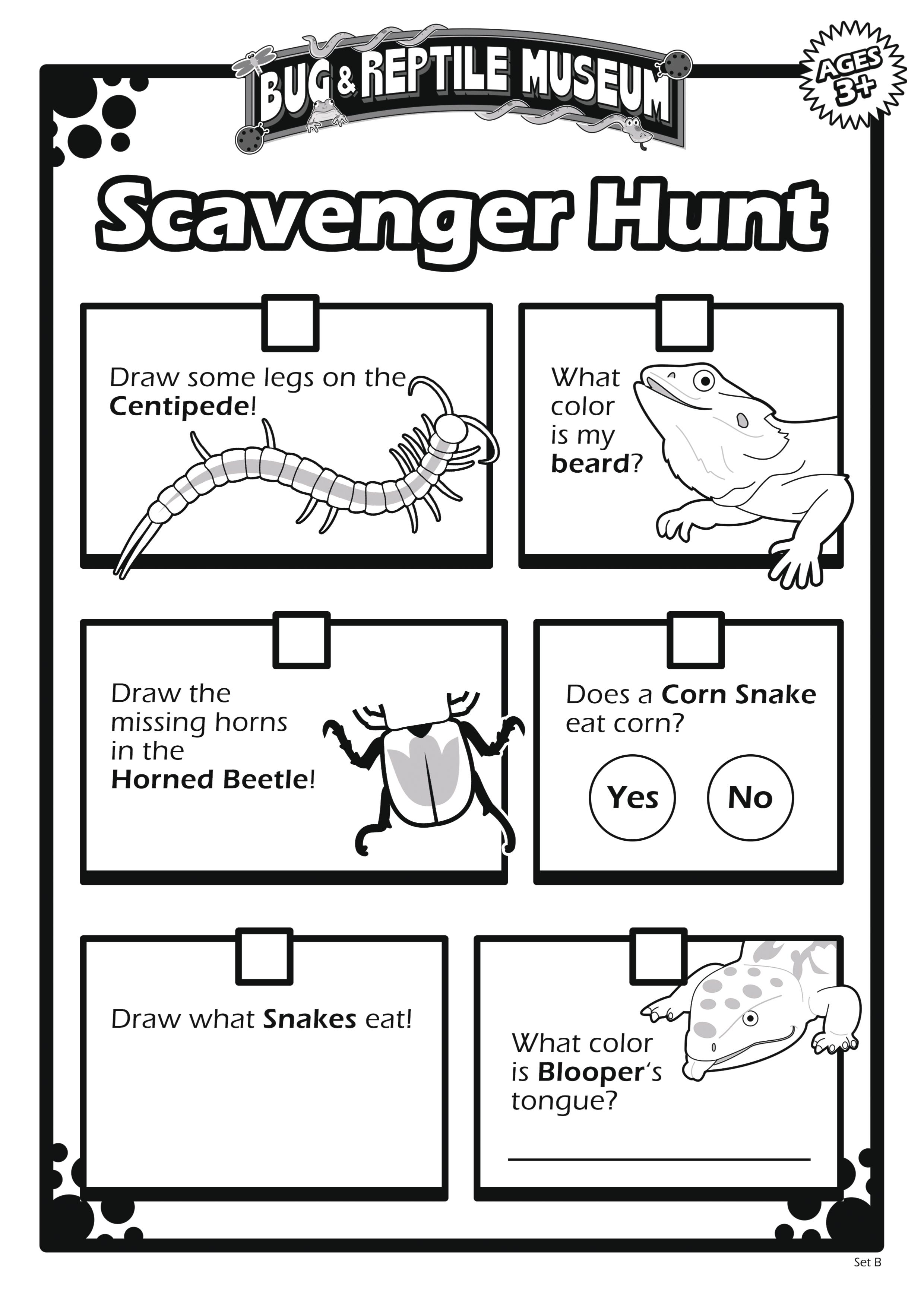 Scavenger Hunt 3B