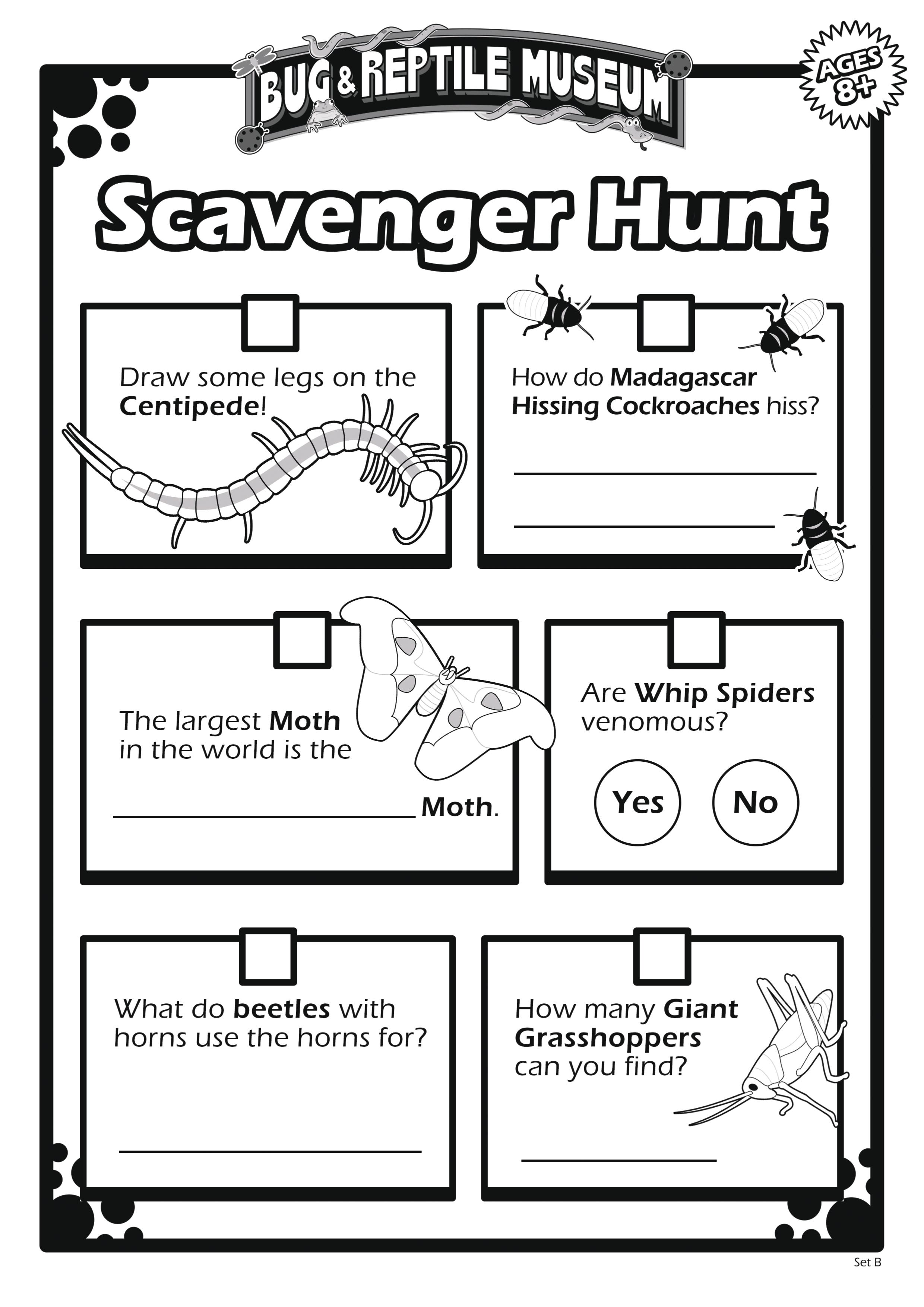 Scavenger Hunt 8B