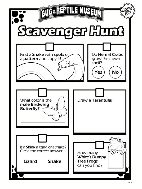 Scavenger Hunt 3A