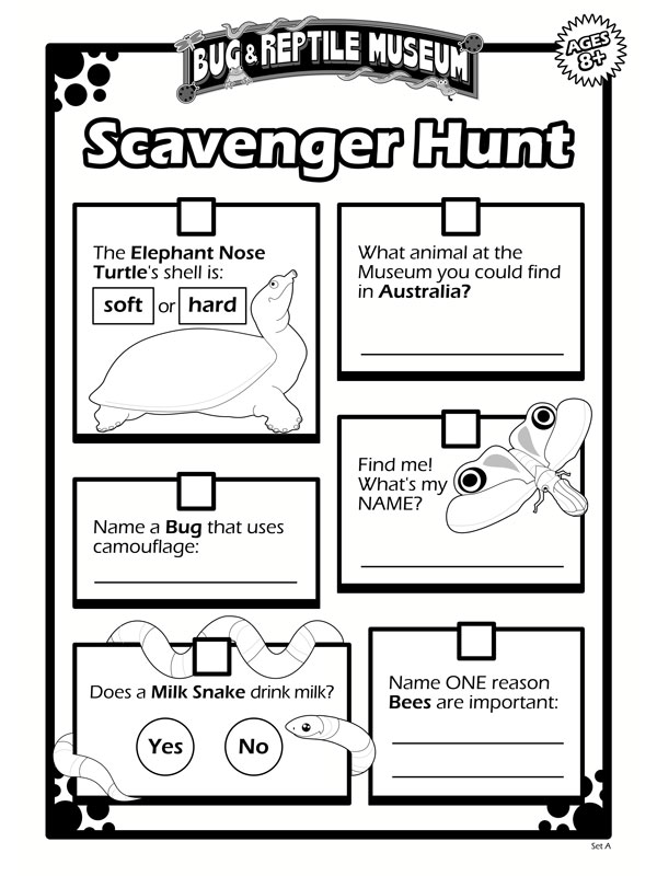 Scavenger Hunt 8A